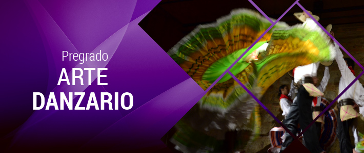 ARTE DANZARIO