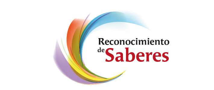 RECONOCIMIENTO DE SABERES (Profesionalización de Artistas)